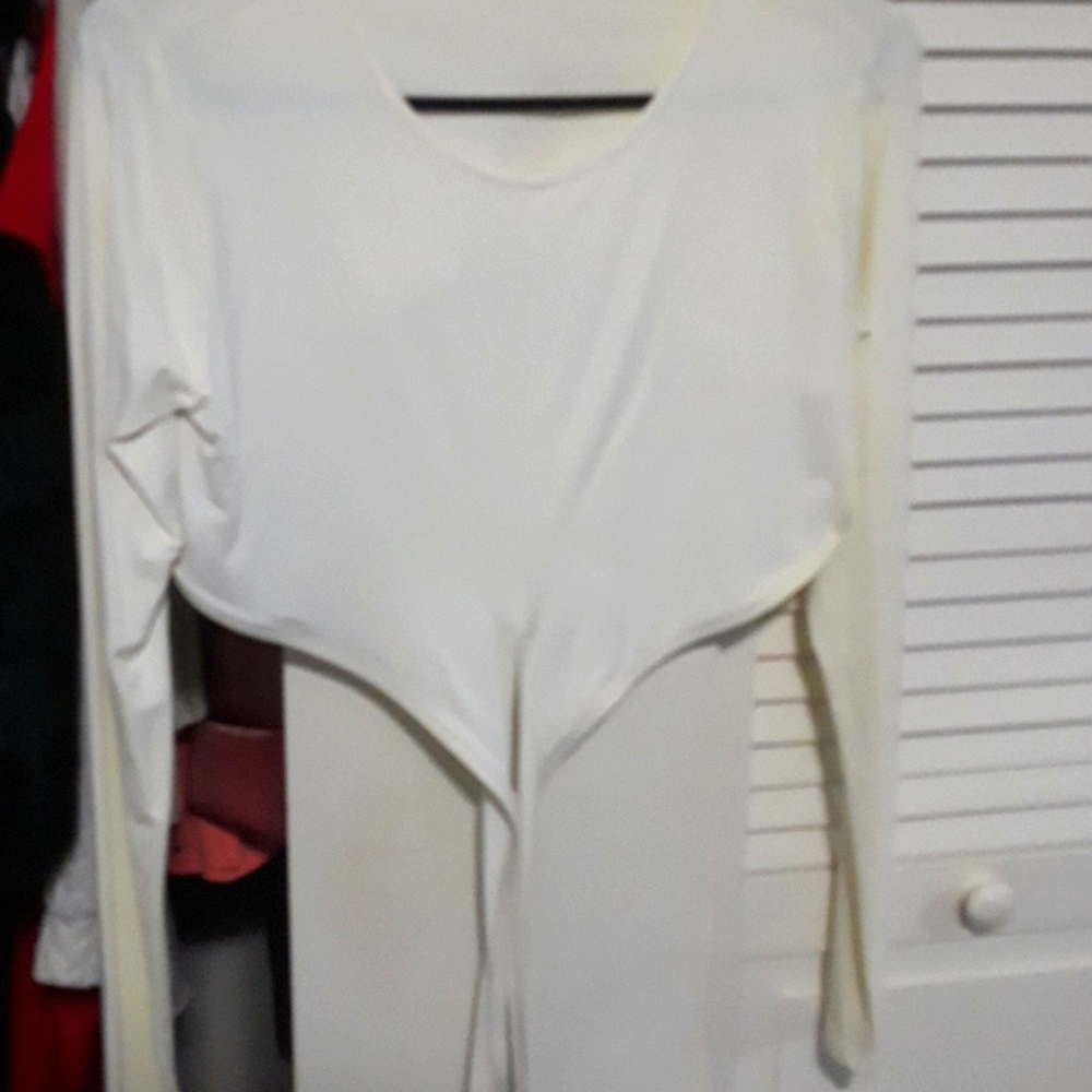 Long sleeved crop top